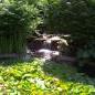 A View of the Botanical Gardens in Our Neighborhood